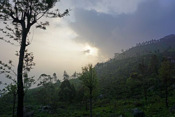 DSC07754.jpg