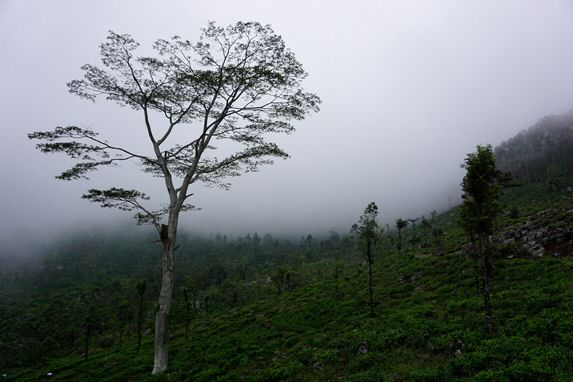 DSC08289.jpg
