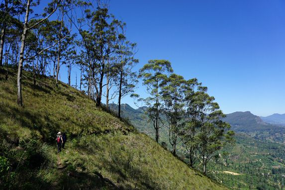 DSC07887.jpg