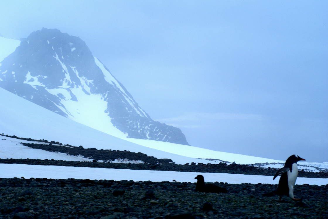 Antarktis_0171.jpg