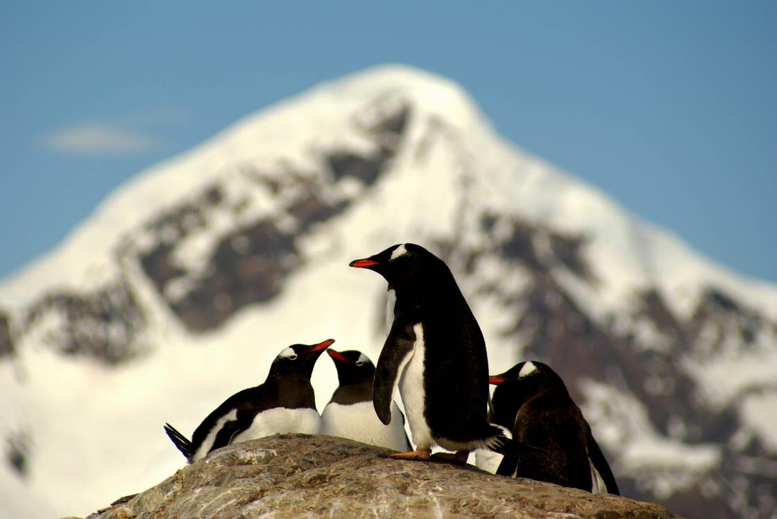 Antarktis_0280.jpg