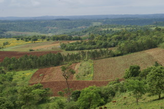 Landschaft in Nord-Ost-Argentinien