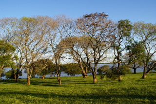 Der Rio Uruguay in der Provinz Corrientes