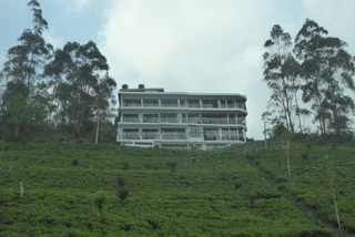 Unser Hotel in den Teeplantagen Haputales