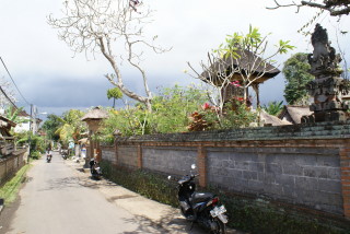 Ruhige Seitenstraße in Ubud