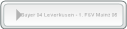 Leverkusen