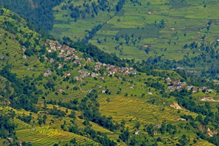 Hirse-Terrassen in der Helambu-Region